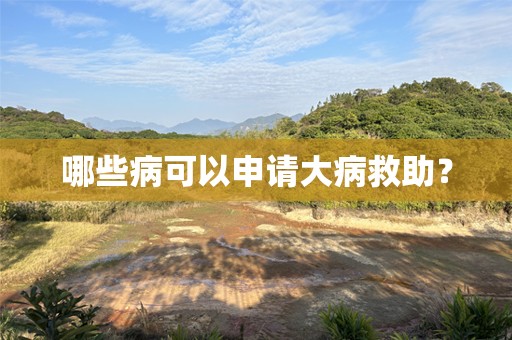 哪些病可以申请大病救助？
