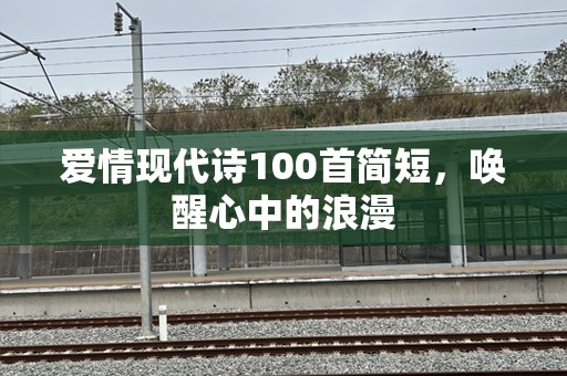爱情现代诗100首简短，唤醒心中的浪漫