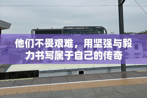 他们不畏艰难，用坚强与毅力书写属于自己的传奇