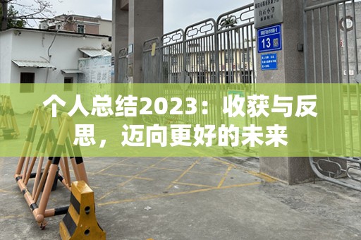 个人总结2023：收获与反思，迈向更好的未来