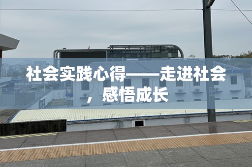 社会实践心得——走进社会，感悟成长