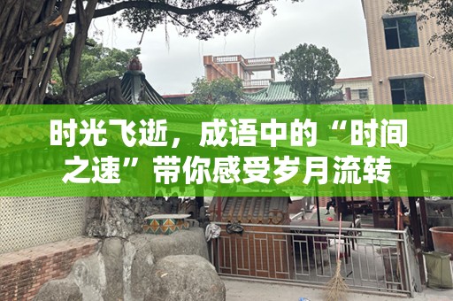 时光飞逝，成语中的“时间之速”带你感受岁月流转