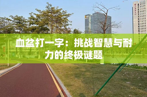 血盆打一字：挑战智慧与耐力的终极谜题