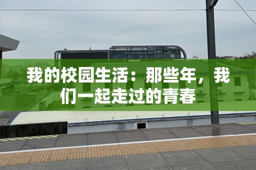 我的校园生活：那些年，我们一起走过的青春