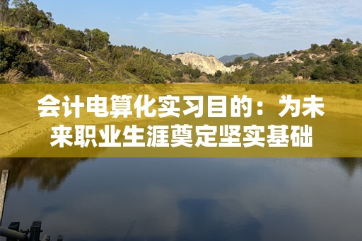 会计电算化实习目的：为未来职业生涯奠定坚实基础