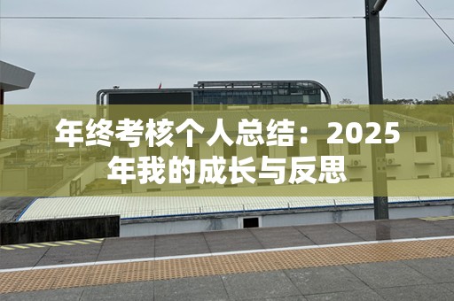 年终考核个人总结：2025年我的成长与反思