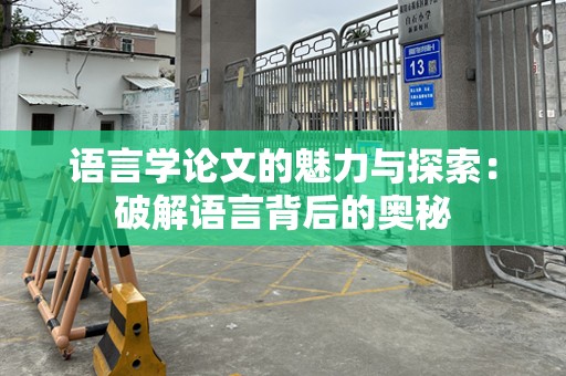 语言学论文的魅力与探索：破解语言背后的奥秘