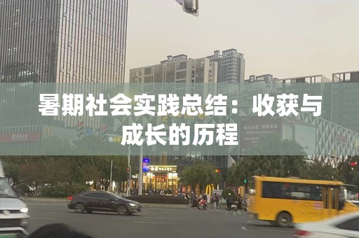 暑期社会实践总结：收获与成长的历程