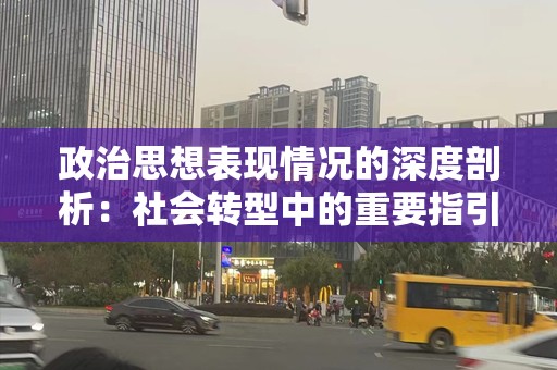 政治思想表现情况的深度剖析：社会转型中的重要指引