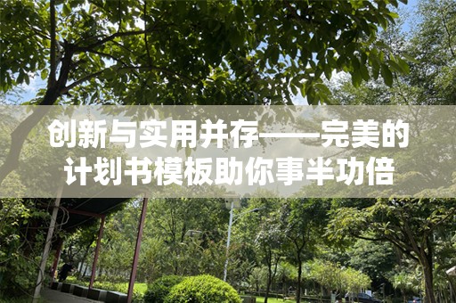 创新与实用并存——完美的计划书模板助你事半功倍