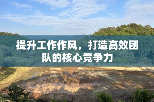 提升工作作风，打造高效团队的核心竞争力