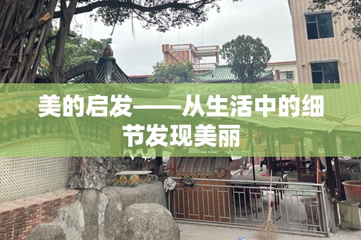 美的启发——从生活中的细节发现美丽