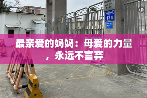 最亲爱的妈妈：母爱的力量，永远不言弃