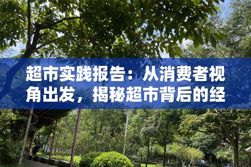 超市实践报告：从消费者视角出发，揭秘超市背后的经营智慧