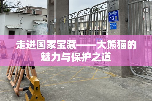 走进国家宝藏——大熊猫的魅力与保护之道