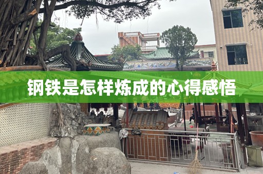 钢铁是怎样炼成的心得感悟