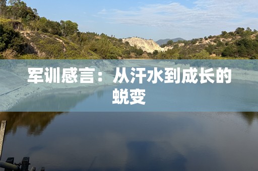 军训感言：从汗水到成长的蜕变