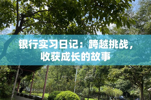 银行实习日记：跨越挑战，收获成长的故事