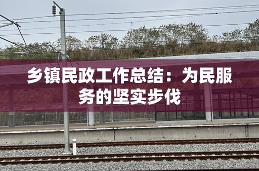 乡镇民政工作总结：为民服务的坚实步伐
