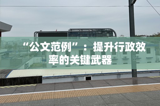“公文范例”：提升行政效率的关键武器