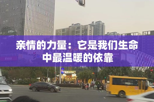 亲情的力量：它是我们生命中最温暖的依靠