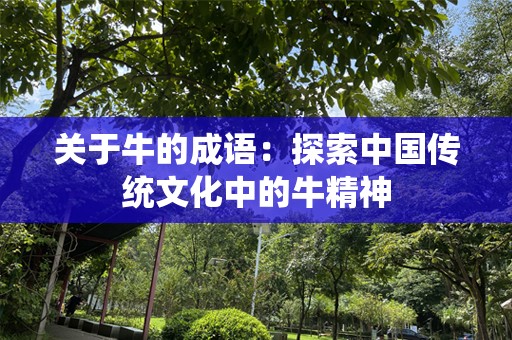 关于牛的成语：探索中国传统文化中的牛精神