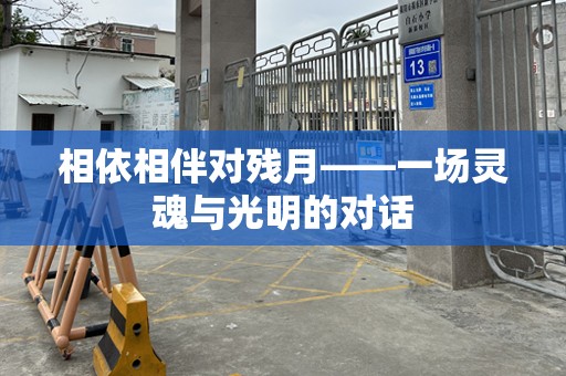 相依相伴对残月——一场灵魂与光明的对话