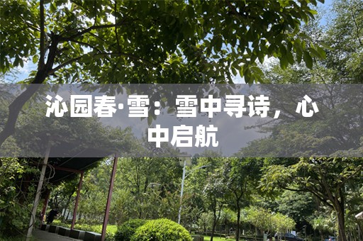 沁园春·雪：雪中寻诗，心中启航