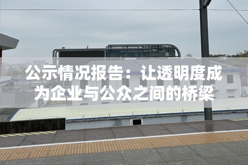 公示情况报告：让透明度成为企业与公众之间的桥梁