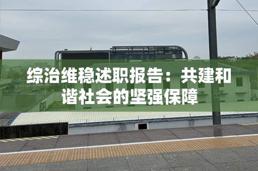 综治维稳述职报告：共建和谐社会的坚强保障