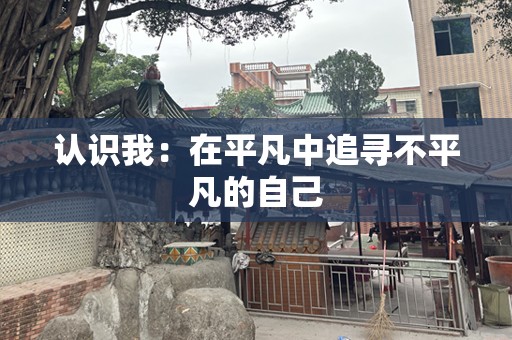 认识我：在平凡中追寻不平凡的自己