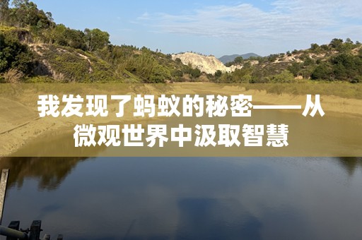 我发现了蚂蚁的秘密——从微观世界中汲取智慧
