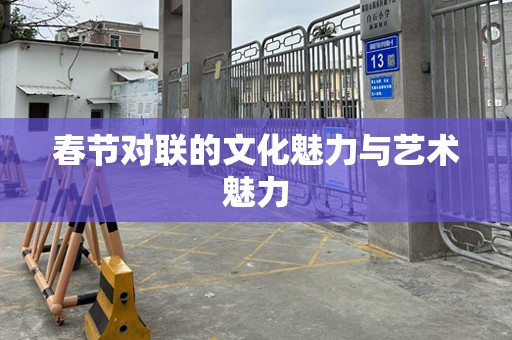 春节对联的文化魅力与艺术魅力