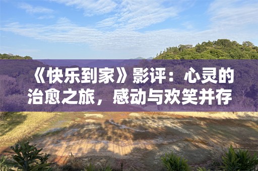 《快乐到家》影评：心灵的治愈之旅，感动与欢笑并存