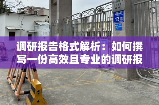调研报告格式解析：如何撰写一份高效且专业的调研报告？
