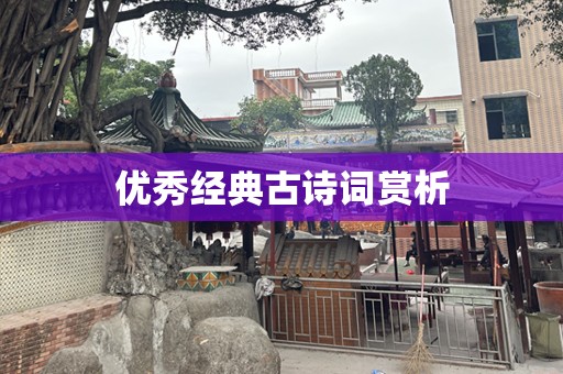 优秀经典古诗词赏析