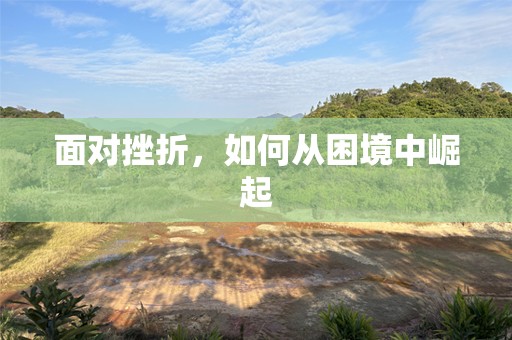 面对挫折，如何从困境中崛起
