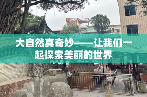 大自然真奇妙——让我们一起探索美丽的世界