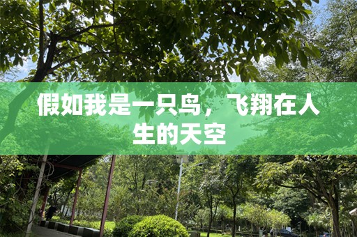 假如我是一只鸟，飞翔在人生的天空