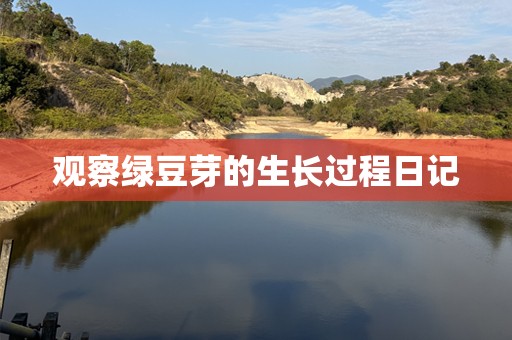观察绿豆芽的生长过程日记