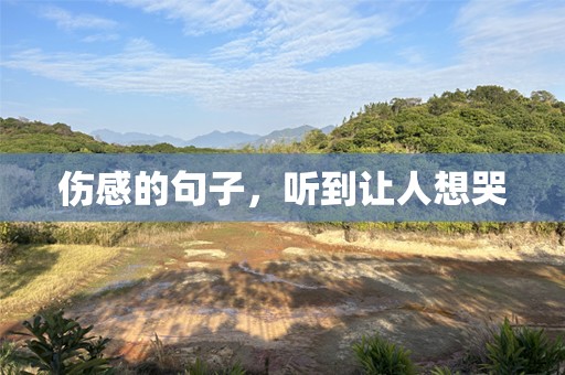 伤感的句子，听到让人想哭