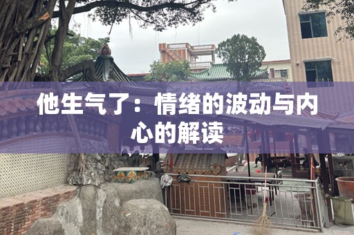 他生气了：情绪的波动与内心的解读