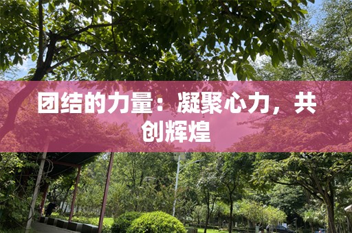 团结的力量：凝聚心力，共创辉煌