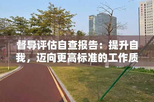 督导评估自查报告：提升自我，迈向更高标准的工作质量