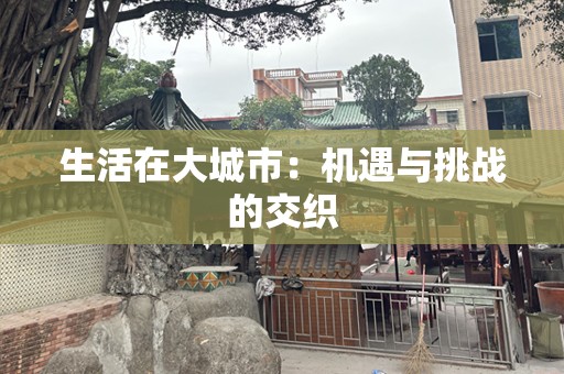 生活在大城市：机遇与挑战的交织