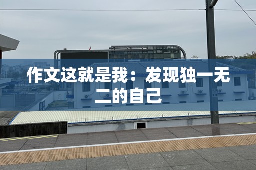 作文这就是我：发现独一无二的自己