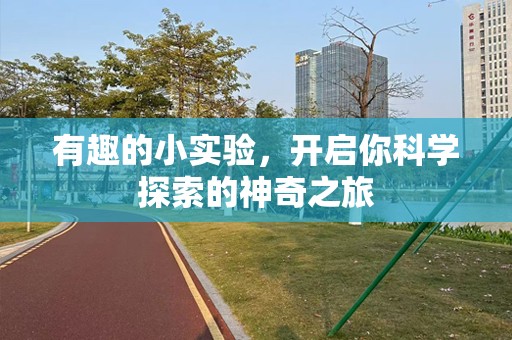 有趣的小实验，开启你科学探索的神奇之旅