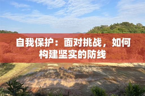 自我保护：面对挑战，如何构建坚实的防线