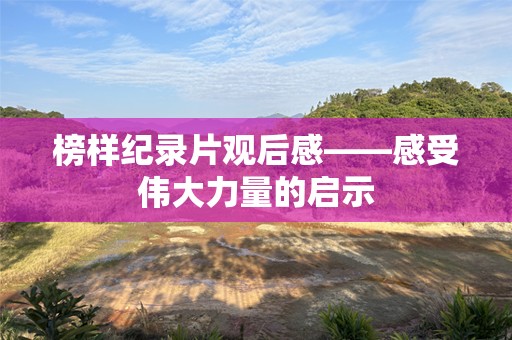 榜样纪录片观后感——感受伟大力量的启示