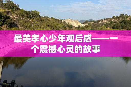 最美孝心少年观后感——一个震撼心灵的故事